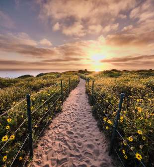 Dana Point Headlands Trail Sunset
