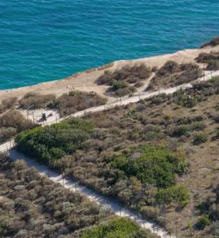 Coastal Hikes and Nature