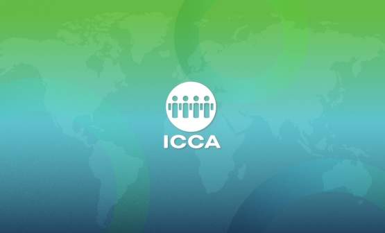 ICCA Plenary & Global Advocacy Alliance Forum, Chapter Meetings & Sector Meetings
