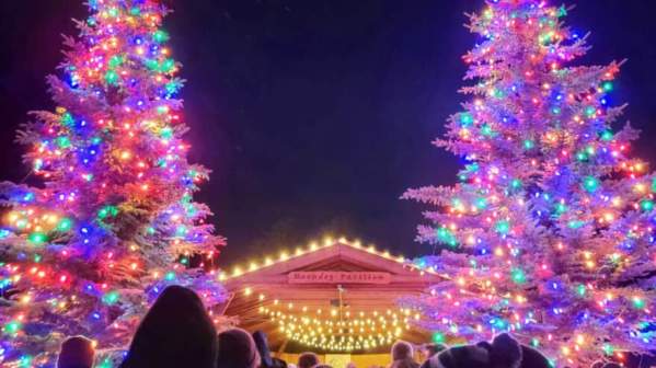 christmas trees