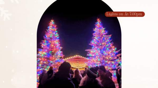 Tree lighting lights on at 7pm