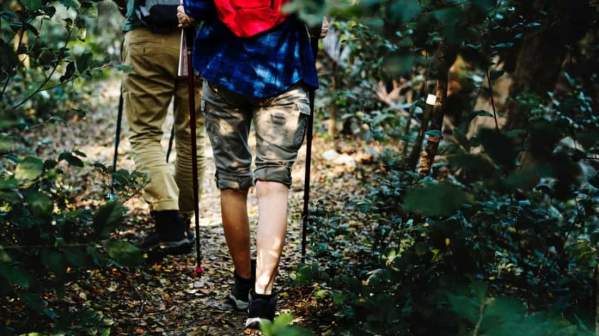 Hikers Hiking