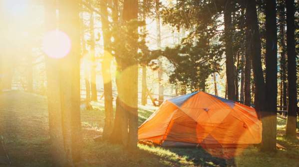 Campsite
