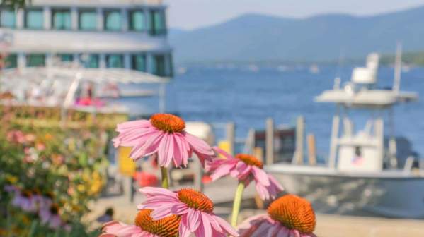 Flowers in Lake George