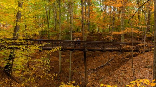 Summit Metro Parks Nature Realm