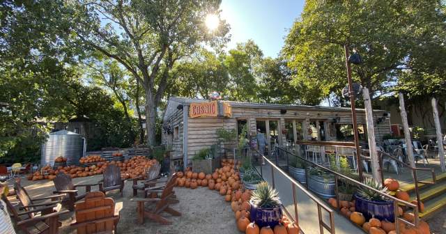 Top Things to Do in Austin This Fall