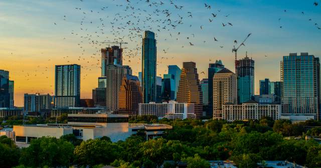 Austin skyline as the sun is setting with a cloud of bats in the foreground.
