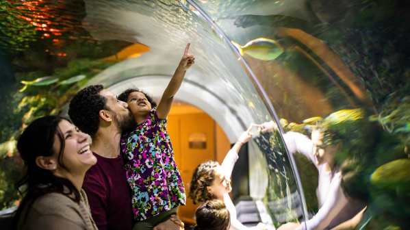 096 Discovery World in Milwaukee Family Interaction by Aquarium