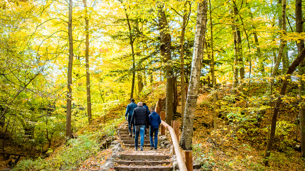 Seven Bridges Fall Family