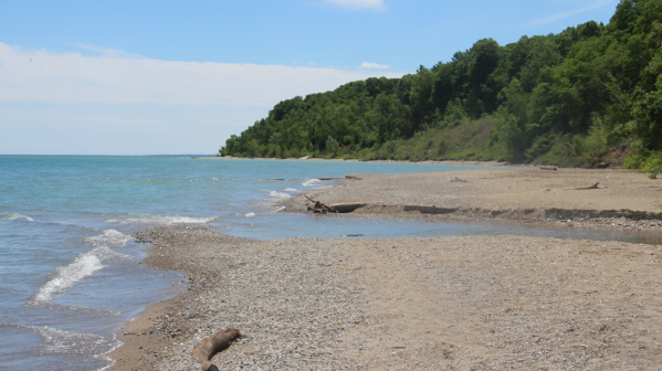 The Shores of Grant Park Beach with a view of the bluffs in the background.