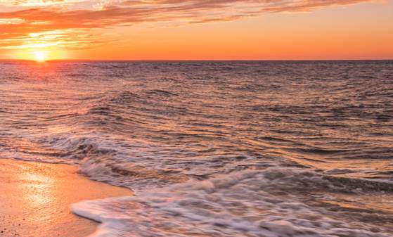 Cape Henlopen Beach