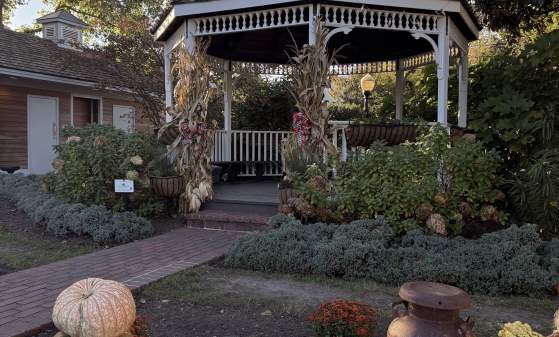 A gazebo decorated with corn stalks and pumpkins located in Lewes, Del.