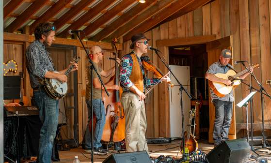 Live Entertainment - Bluegrass
