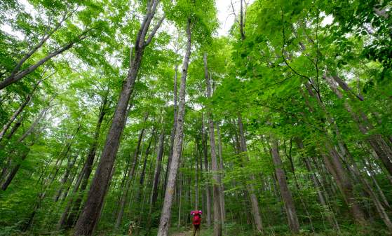 Gabriel Faria, Laurel Highlands Hiking Trail (2)