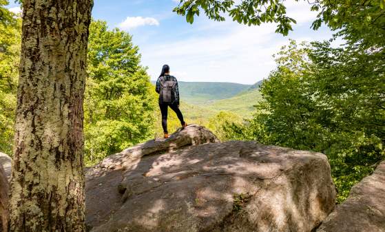 Baughman Rock at Ohiopyle