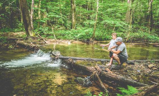 Fishing in the Laurel Highlands