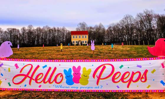 3 Palms Zoo Presents: Easter EggstravaganZoo 2026