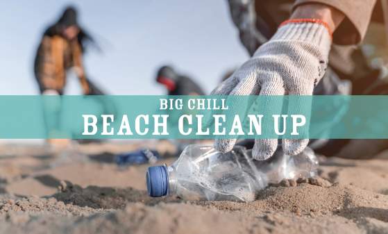 Beach Clean Up
