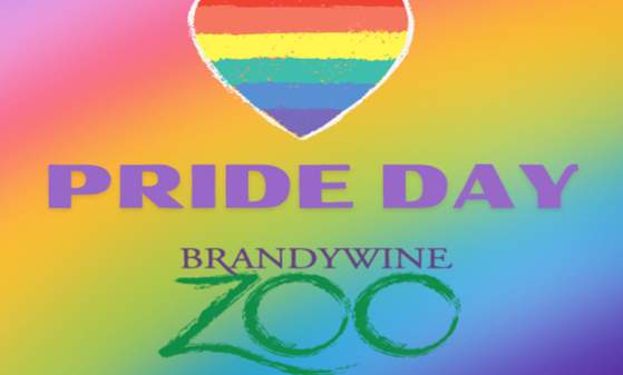 Pride Day - Brandywine Zoo