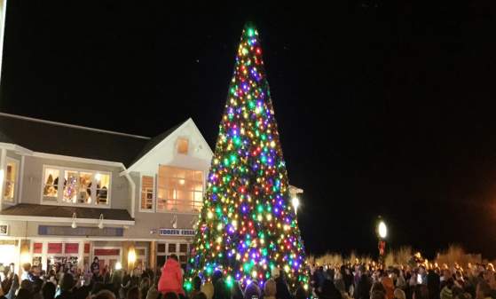 South Bethany 4th Annual Holiday Tree Lighting Ceremony
