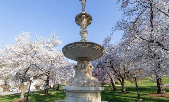 Brandywine Park Holiday Markets