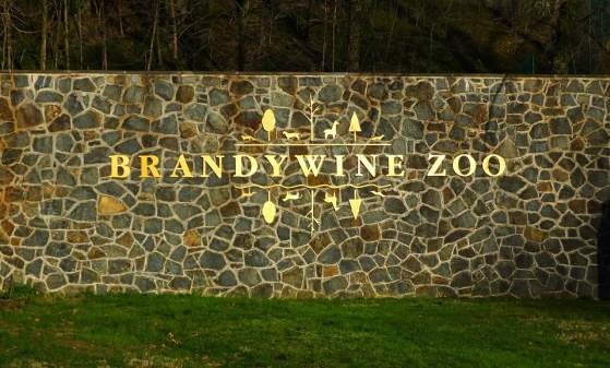 Spring Native Plant Sale @ Brandywine Zoo