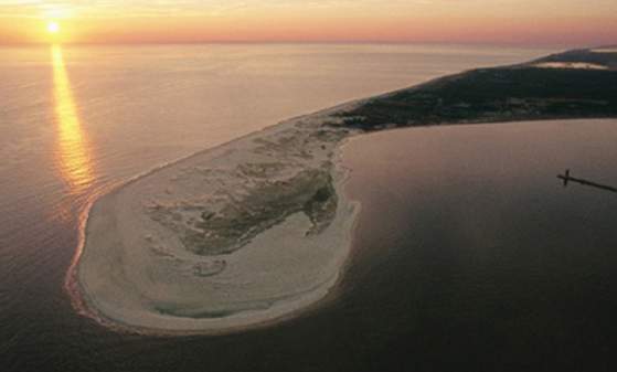 Cape Henlopen State Park and Campground