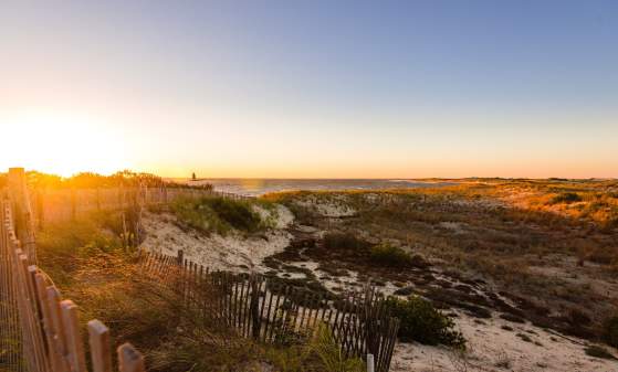 Cape Henlopen State Park and Campground