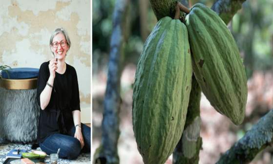 Chocolate: From Sacred Food to Modern Treat