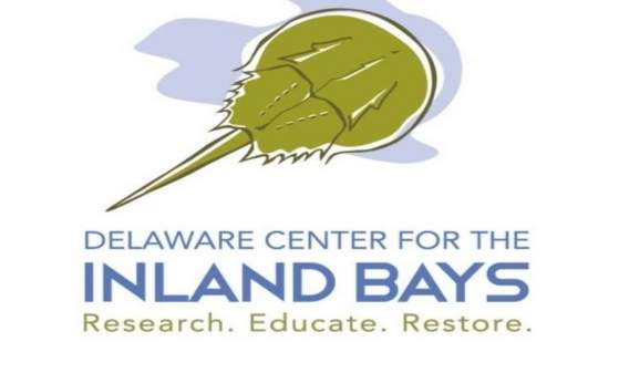 Oyster Reef Kayak Exploration