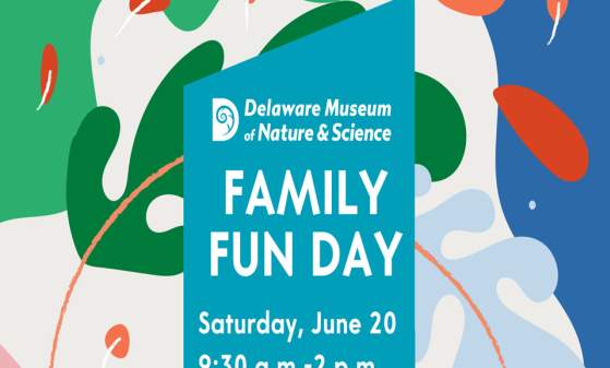 Family Fun Day