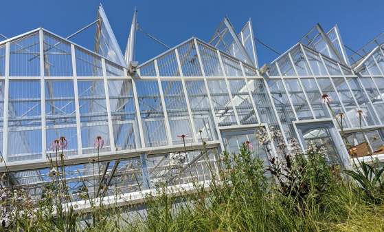 Sip and Stroll: Greenhouse Tour