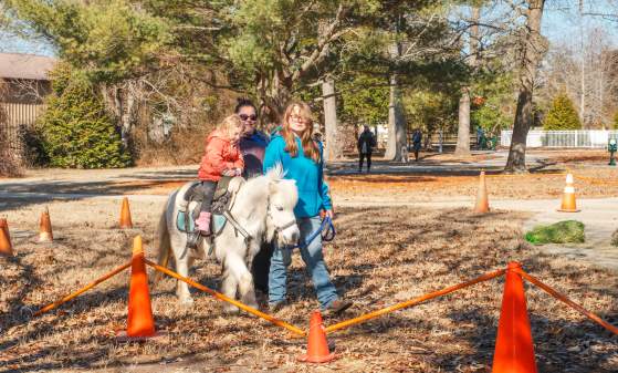 2026 Fire & Ice Festival