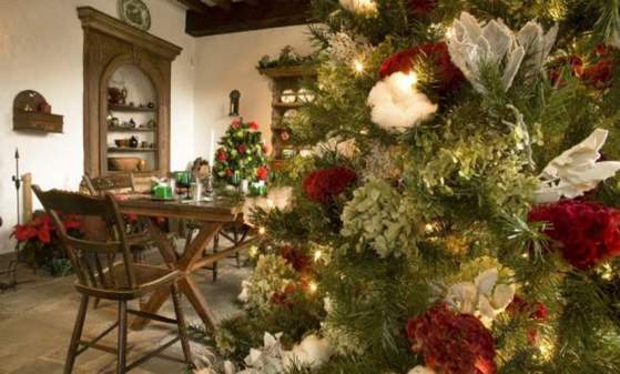Knee High Naturalists: Camouflage ~ Ashland Nature Center