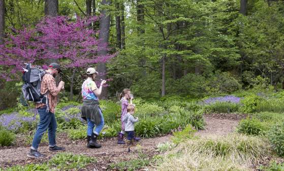 Mt. Cuba’s Wildflower Weekend