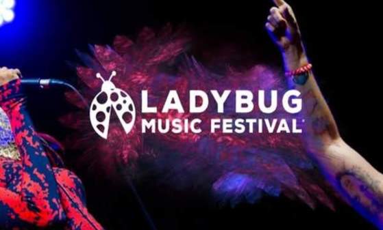 Art x Assets - Powered by Ladybug Women's Week