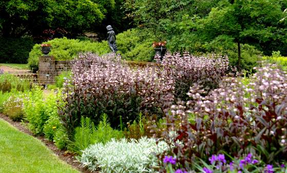 Early Season Garden Care