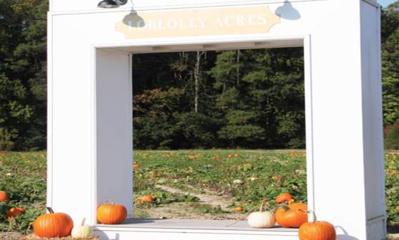 Pumpkin Patch Sundays 2026