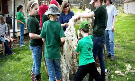 21st Annual Shearing Day and Herb Sale