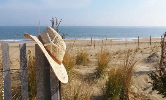 43rd Annual Spring Sidewalk Sale