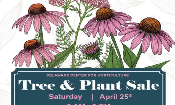 Spring Tree & Plant Sale