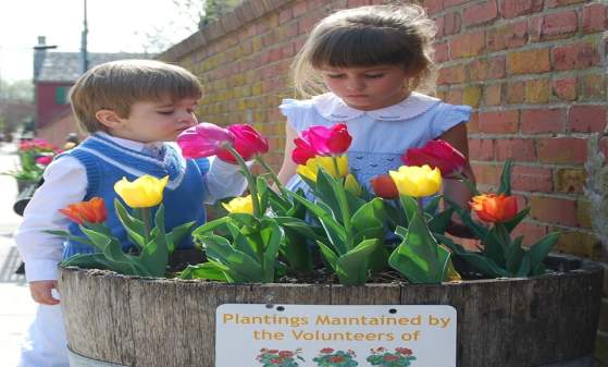 Lewes Tulip Celebration