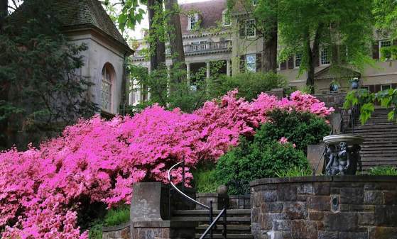Winterthur Museum, Garden, and Library