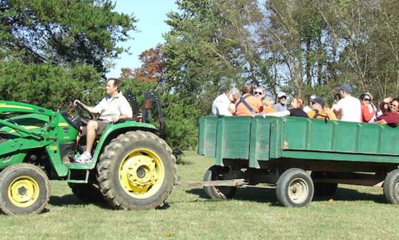 Private Fall Wagon Rides