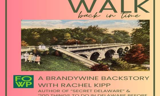 A Walk Back In Time With Us