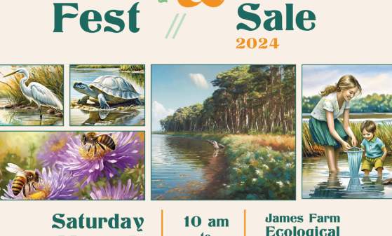 2024 Water Family Fest & Native Plant Sale