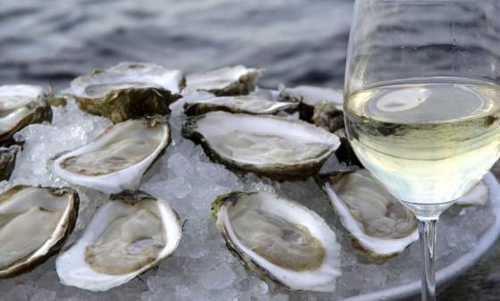 Vine & Brine: A Wine & Oyster Tasting Cruise