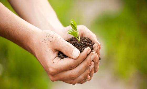 Garden & Estate Insider: Earth Day Celebration