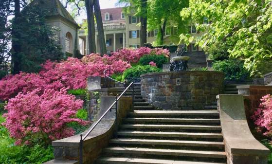 Enchanted Summer Day at Winterthur Garden & Library