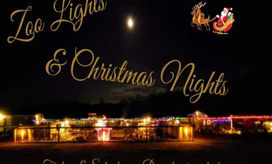 Zoo Lights & Christmas Nights
